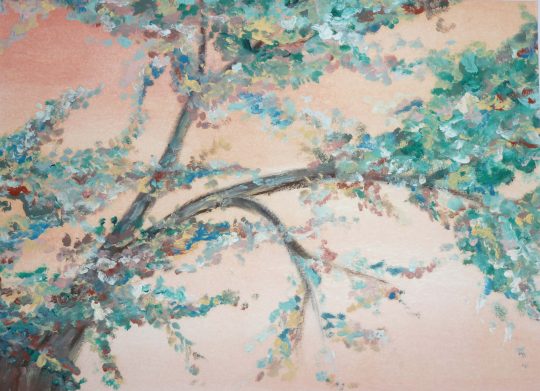 Spring Tree <br/> Huile sur papier