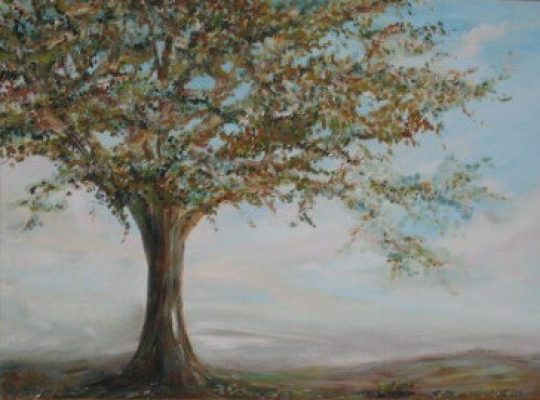 The Tree <br/> Huile sur papier